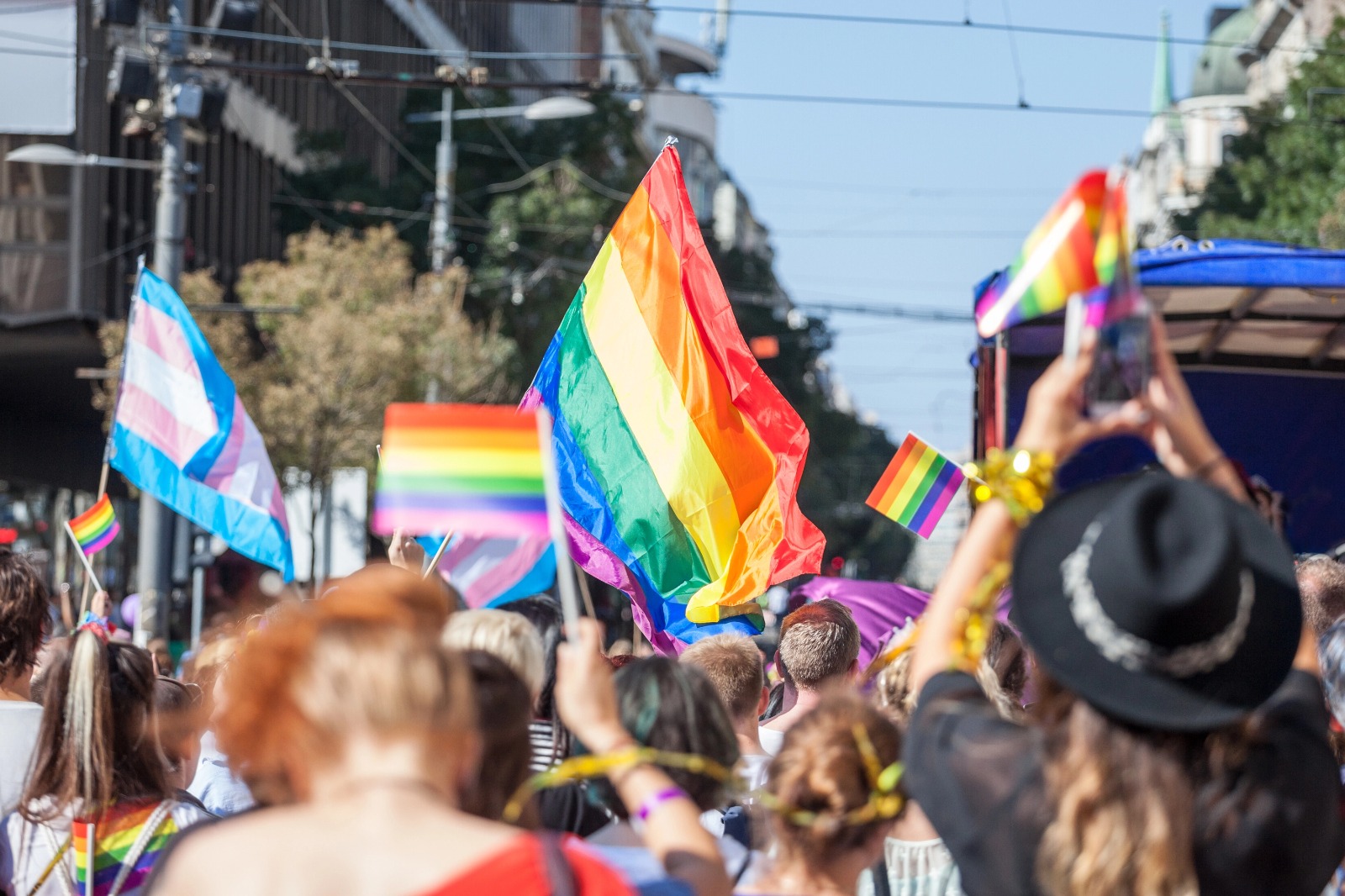 Imagem Reprodução - LGBTQIA+