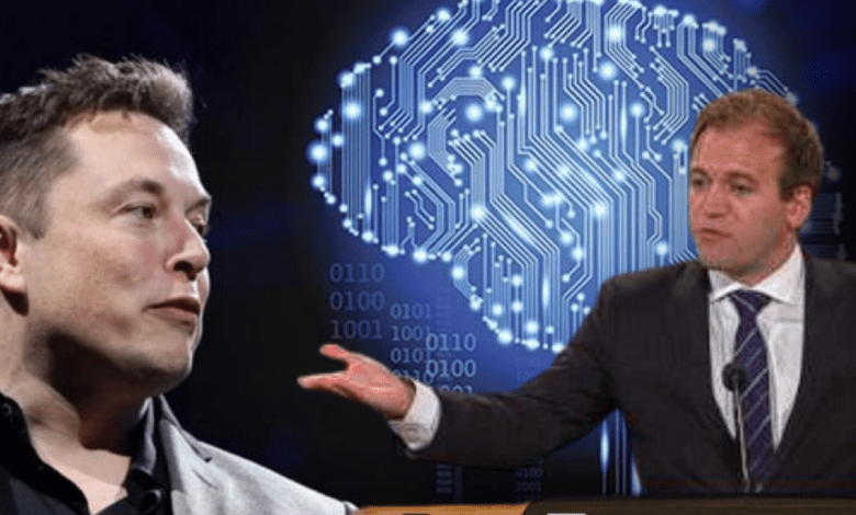 Imagem reprodução - Foto Divulgação / Elon Musk / Johnnie Moore