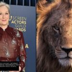 Meryl Streep em tapete vermelho e o rosto de um leão em close-up, ilustrando a polêmica sobre a atriz dublar Aslan na adaptação da Netflix