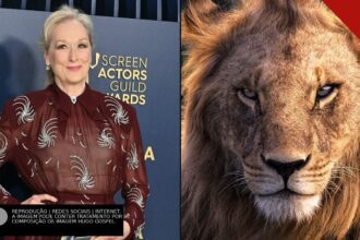 Meryl Streep em tapete vermelho e o rosto de um leão em close-up, ilustrando a polêmica sobre a atriz dublar Aslan na adaptação da Netflix