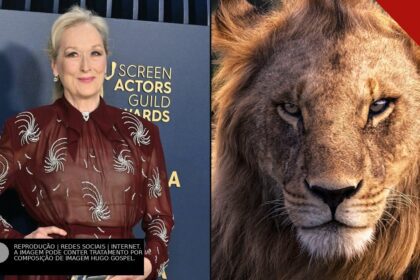 Meryl Streep em tapete vermelho e o rosto de um leão em close-up, ilustrando a polêmica sobre a atriz dublar Aslan na adaptação da Netflix