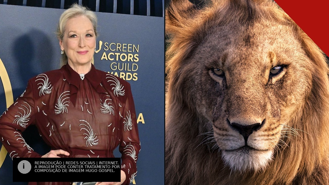 Meryl Streep em tapete vermelho e o rosto de um leão em close-up, ilustrando a polêmica sobre a atriz dublar Aslan na adaptação da Netflix