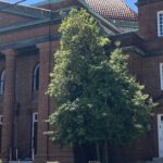 Igrejas deixam denominação metodista: fachada da Igreja Metodista Unida Central de Florence, na Carolina do Sul