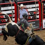 peão morre após ser pisoteado em rodeio em Ohio é o caso de Jason Blake Saylor, e a imagem mostra um competidor em montaria em touro em rodeio nos Estados Unidos
