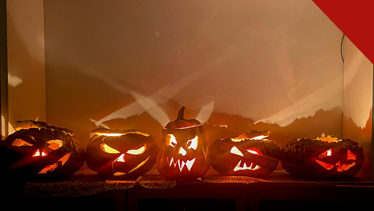 ex-líder satânico alerta cristãos sobre o Halloween, e a imagem mostra abóboras de Halloween enfileiradas, símbolo da festa criticada pelo ex-líder satânico em entrevista