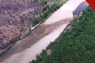 projeto Sertão em Cena transforma comunidades no Nordeste por meio da arte e da sustentabilidade, e a imagem mostra um rio seco em meio à Caatinga, paisagem típica do Sertão, em foto ilustrativa de arquivo