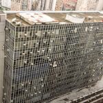Flávio Bolsonaro é alvo de moção em São Paulo: Palácio Anchieta, sede da Câmara Municipal de São Paulo, prédio onde a moção do vereador Dheison Silva foi protocolada