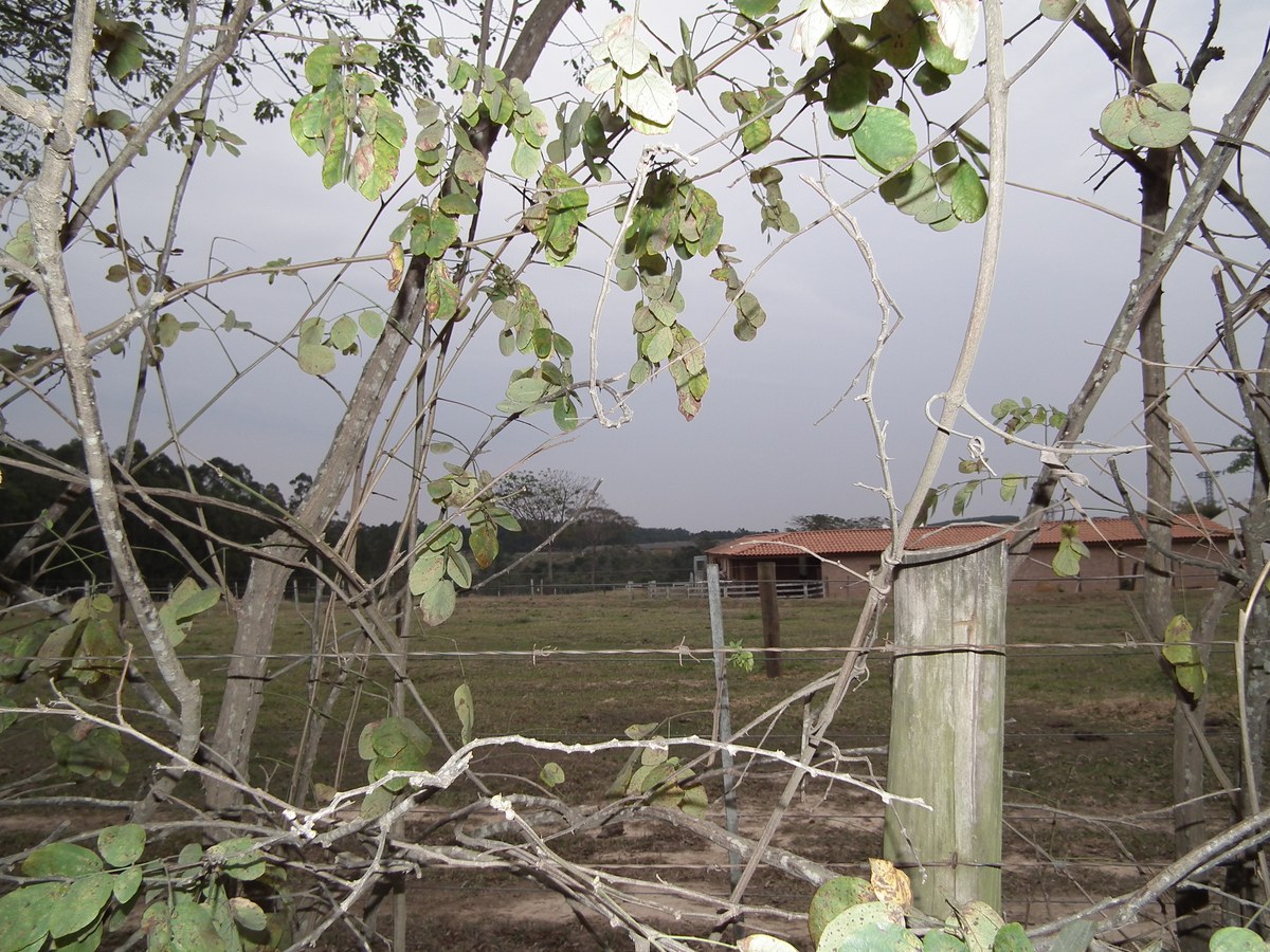 Gabriel Torres explica desistência de A Fazenda por esgotamento e saudade do filho, e a imagem mostra a sede do reality da Record em Itapecerica da Serra