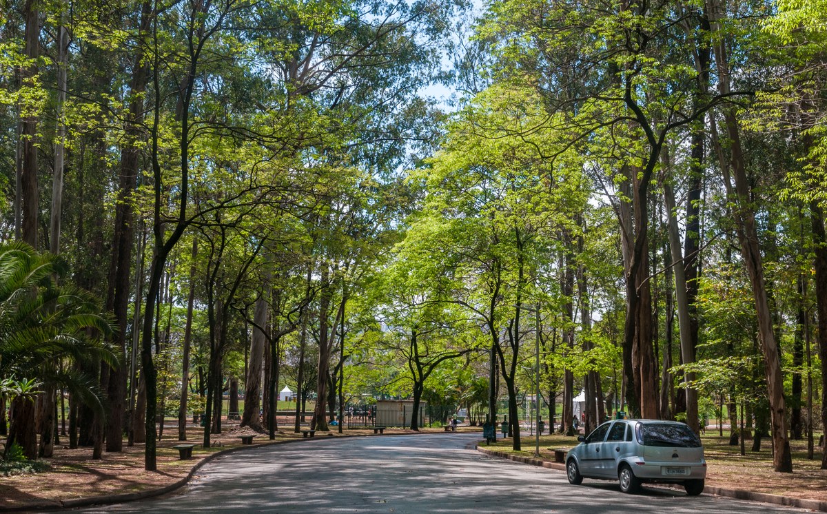 Vista do Parque Ibirapuera, em São Paulo, local ao ar livre onde o show seria realizado