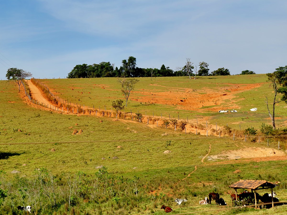 jovem é morta a tiros pelo namorado em Rifaina em propriedade rural; imagem temática de estrada rural no interior do Brasil