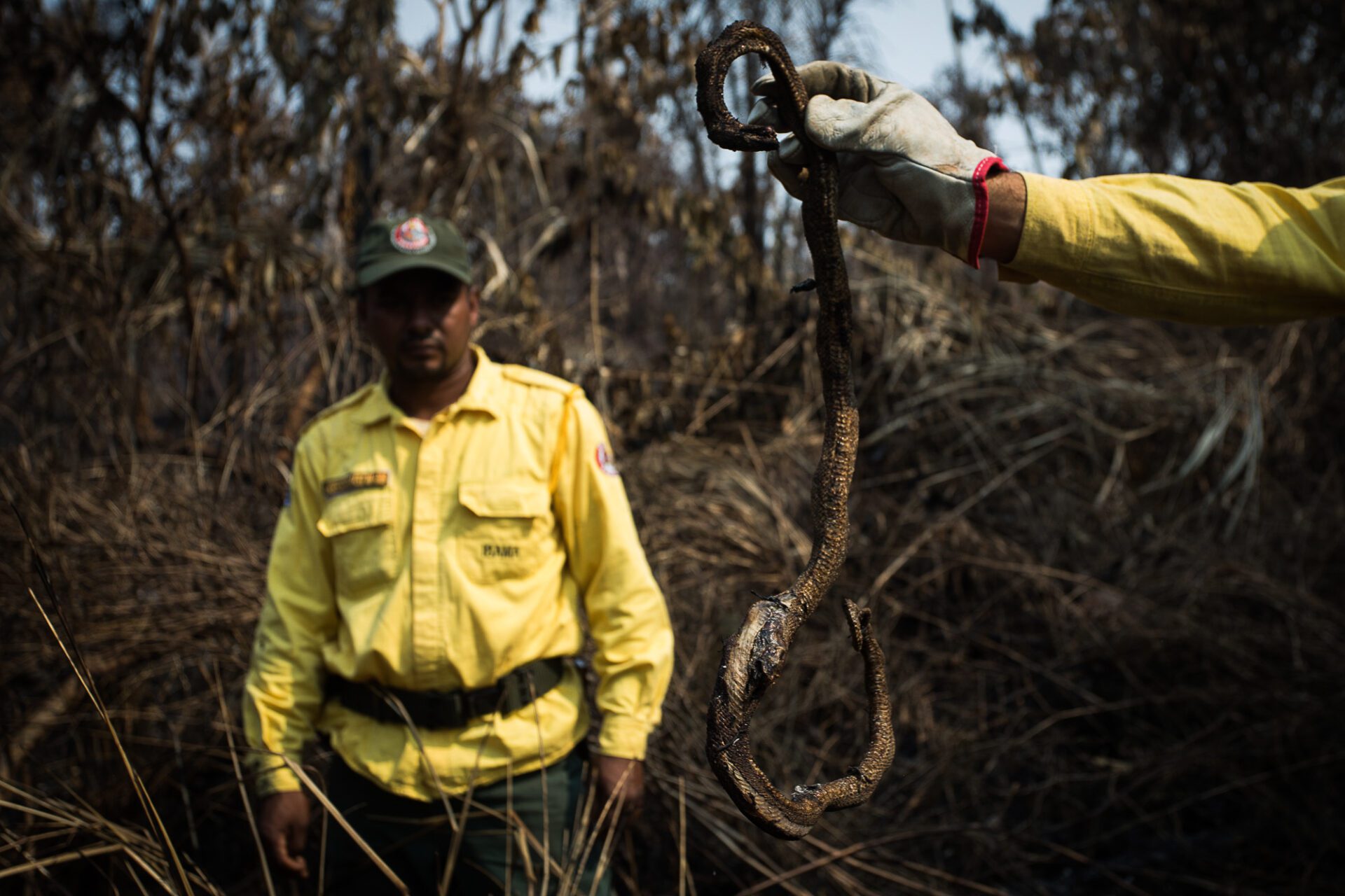 Queimadas em área de floresta amazônica