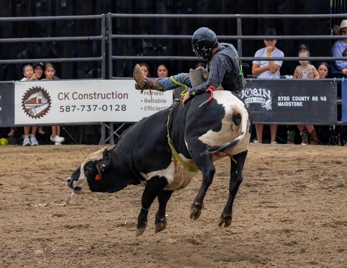 peão morre após ser pisoteado em rodeio em Ohio é o acidente com Jason Blake Saylor, e a imagem mostra uma montaria em touro em rodeio norte americano