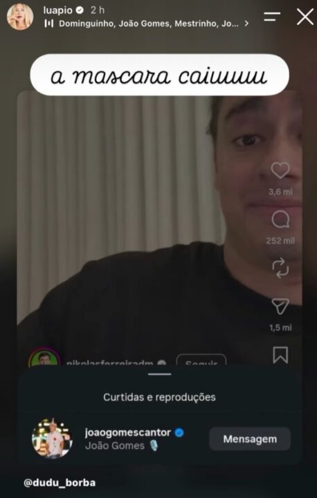 Print dos Stories de Luana Piovani que mostra João Gomes entre as curtidas de vídeo de Nikolas Ferreira