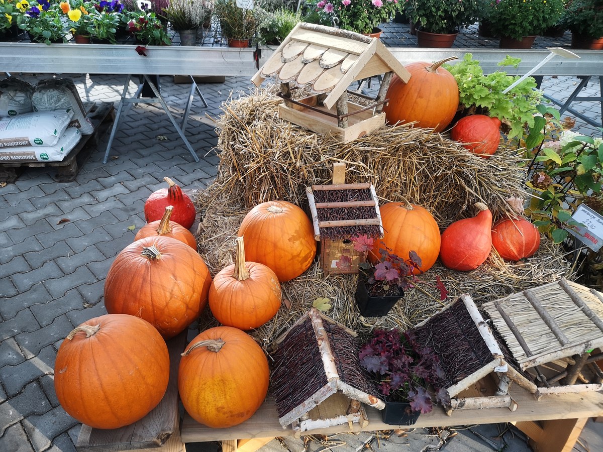Decoração temática de Halloween com abóboras
